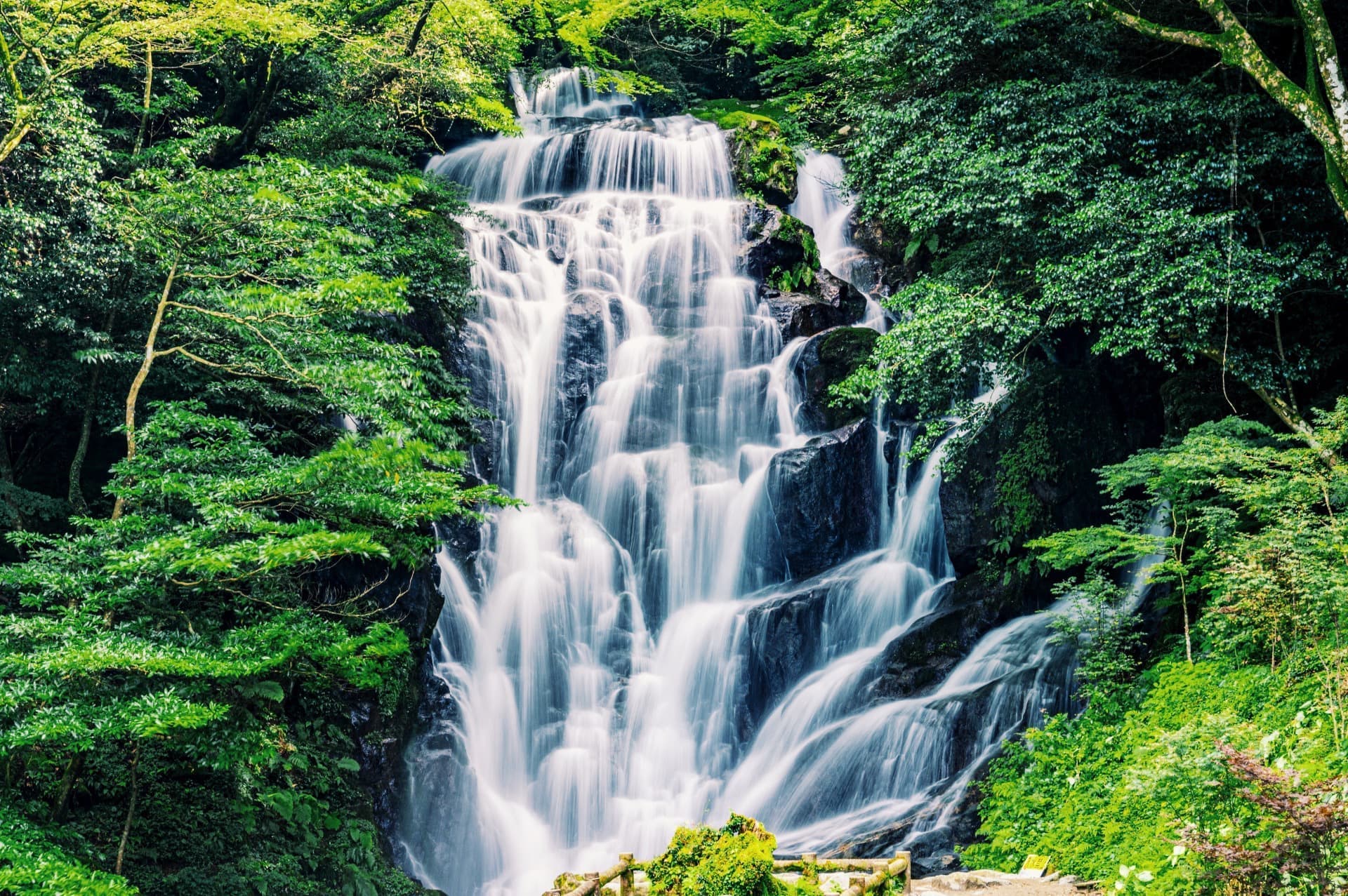 3814006_m_vsco.jpg